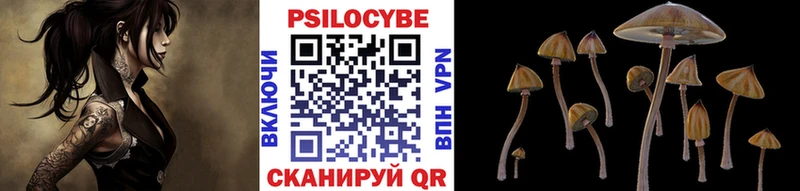 как найти закладки Усолье-Сибирское это состав Псилоцибиновые грибы мицелий